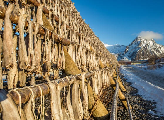 Stockfish Distributor in Norway