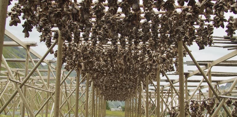 Stockfish Distributor in Norway